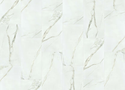 VISION 16X32 MATTE in Calacatta