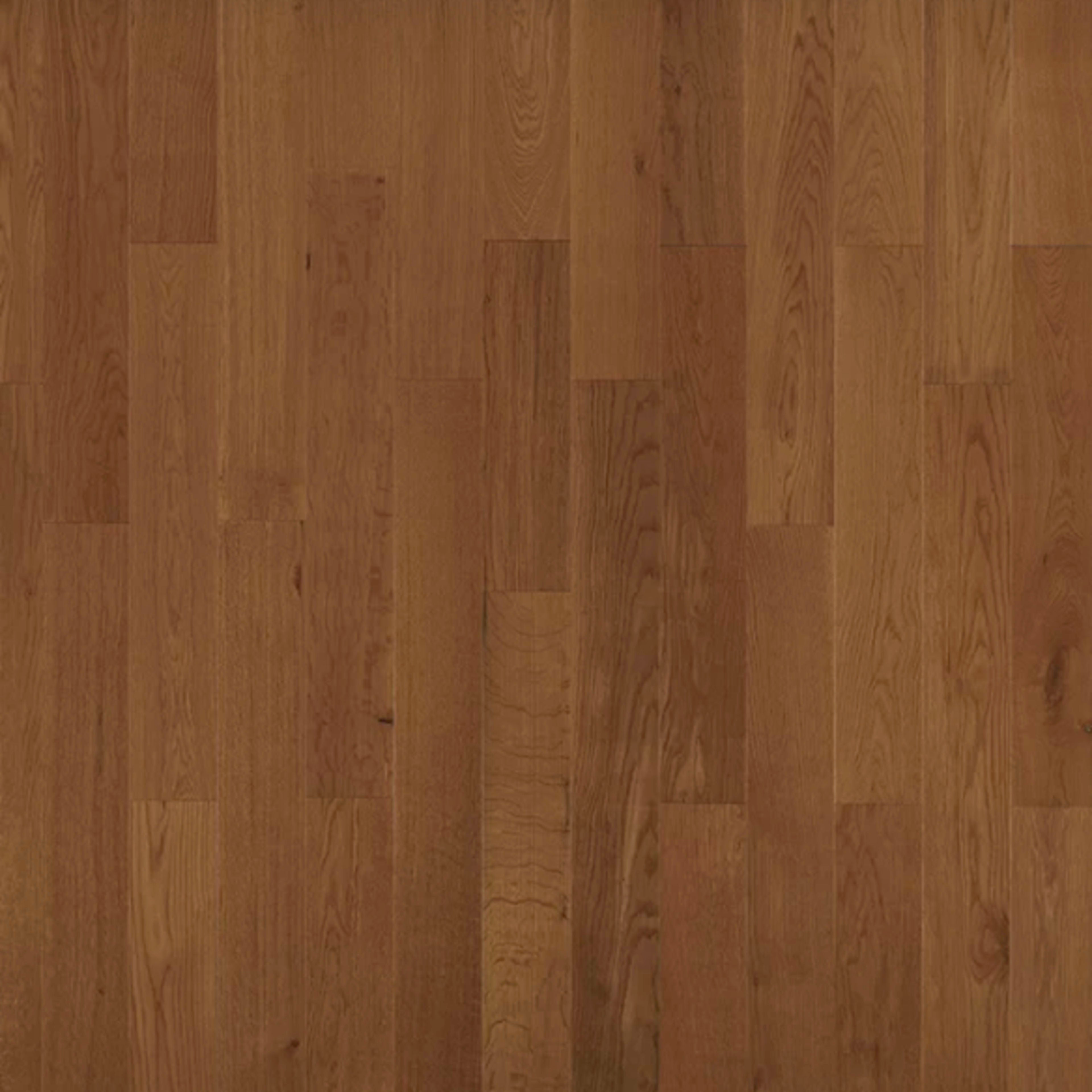 American Traditional Classics in Saddle White Oak 3.25" Hardwood