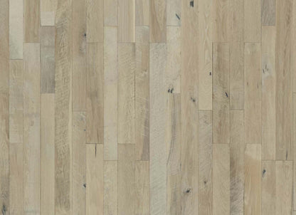 Organic Solid Collection in Sorrel Oak
