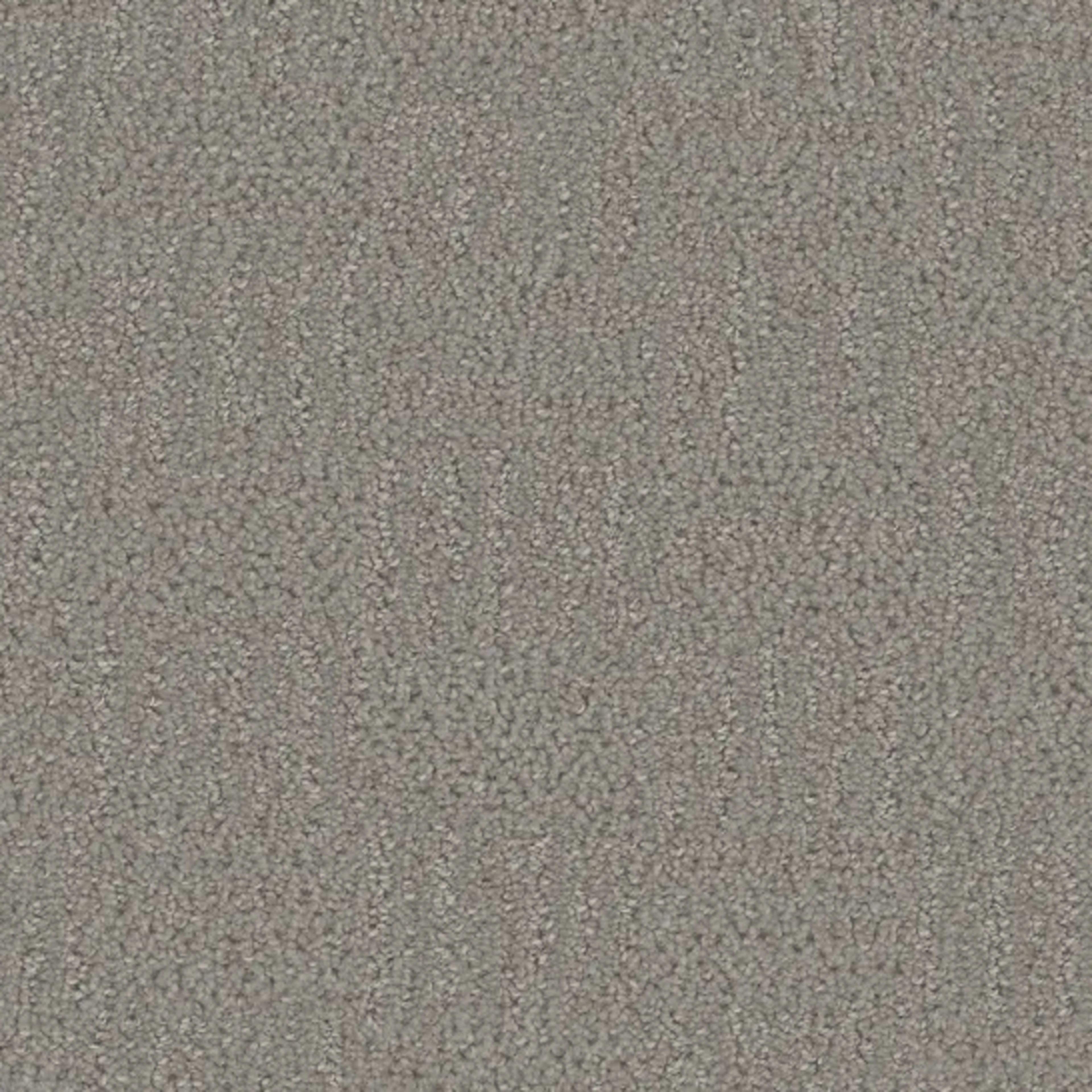 Mystique in Star Dust Carpet