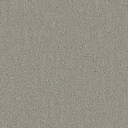 Mystique in Star Dust Carpet
