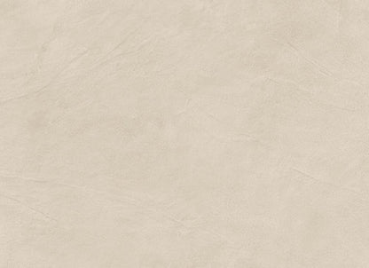 Spectrum in Beige 24"x47" Matte