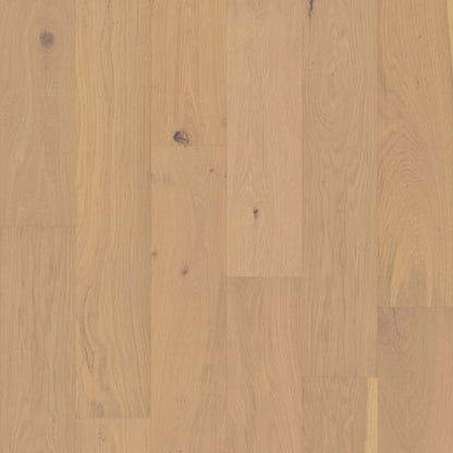 COUTURE OAK in Champagne Hardwood