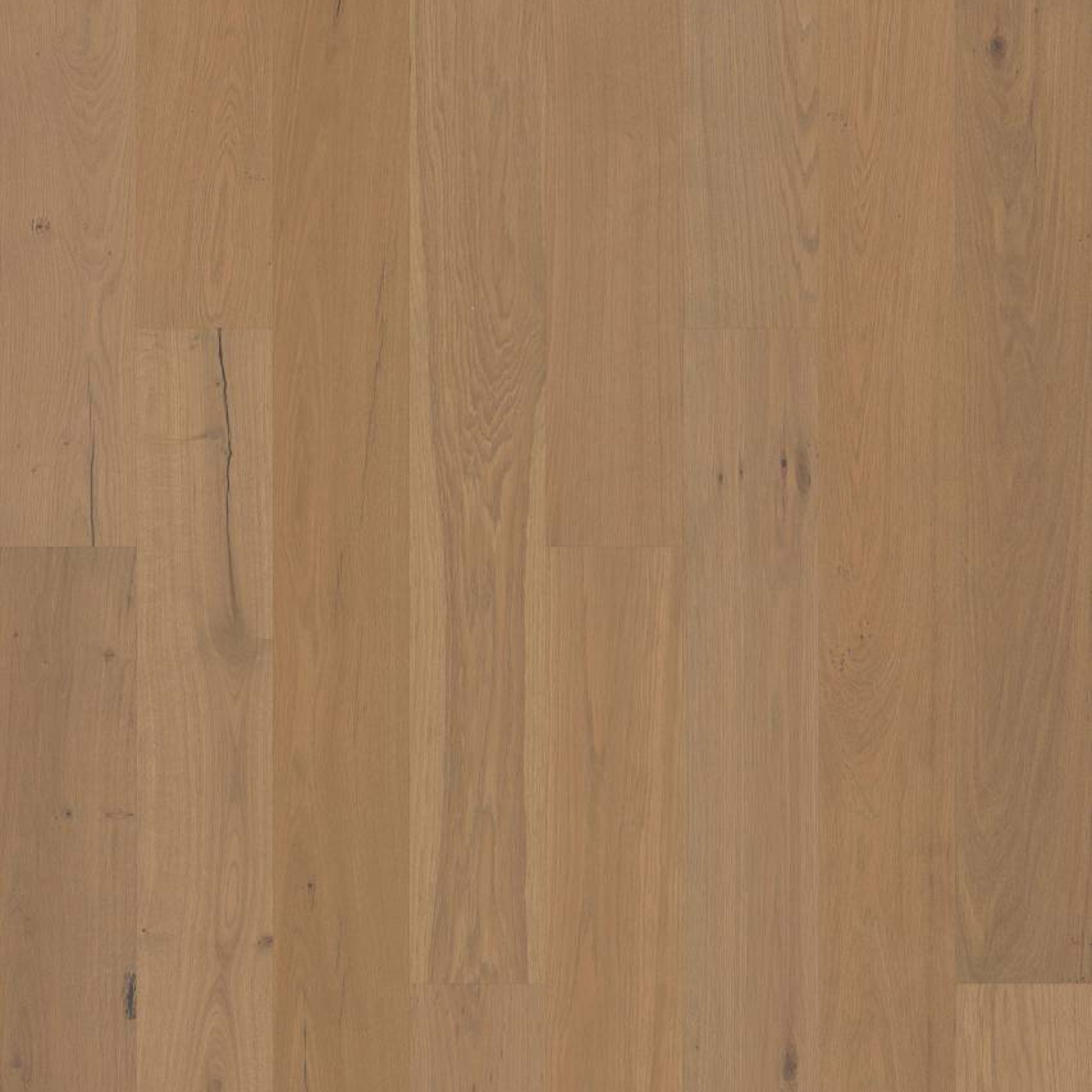 COUTURE OAK in Crema Hardwood