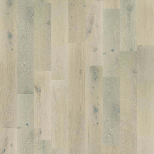 EXPRESSIONS in Melody Hardwood