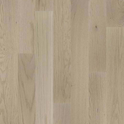 SANCTUARY OAK in Haven Hardwood