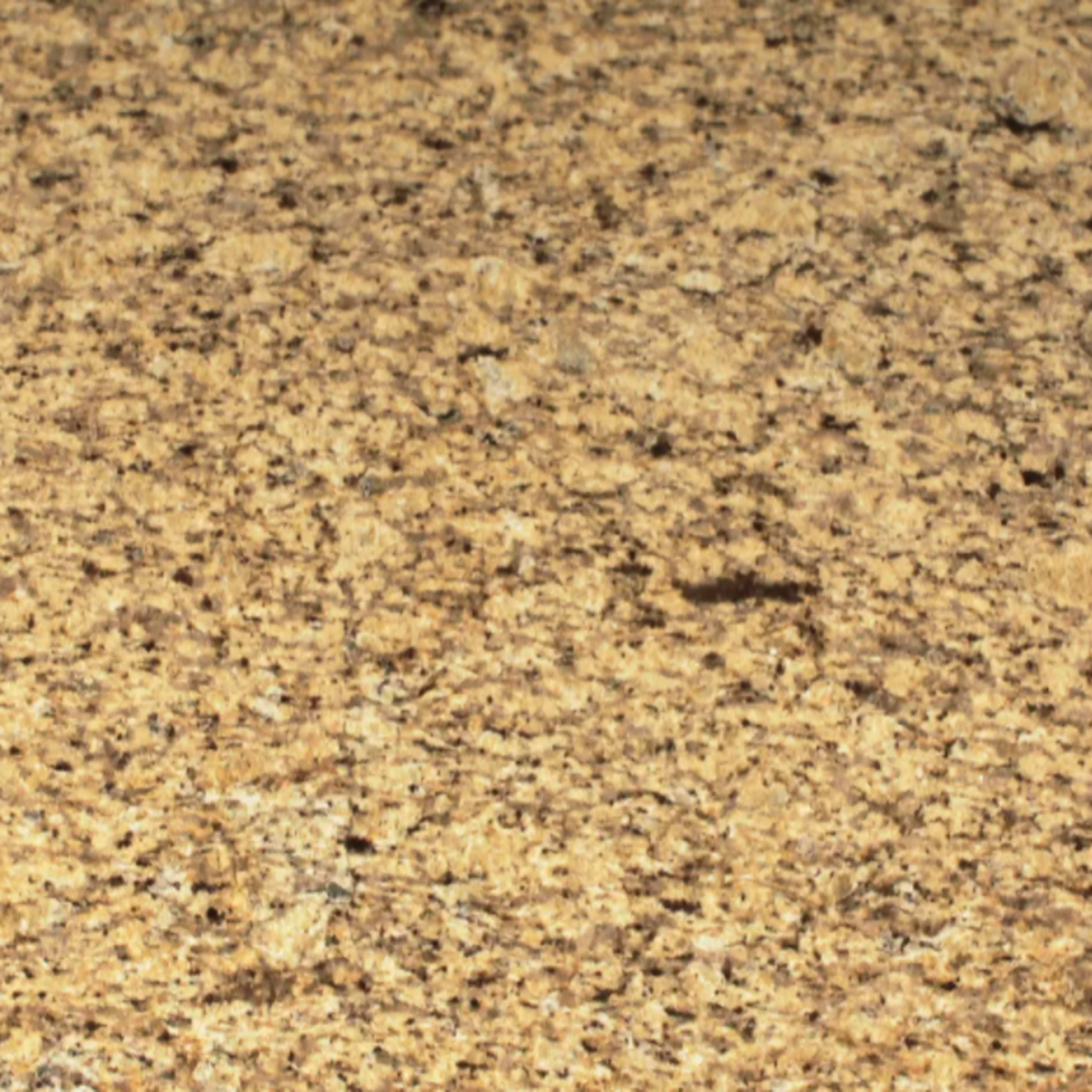 Sensa in Tanami Natural Stone