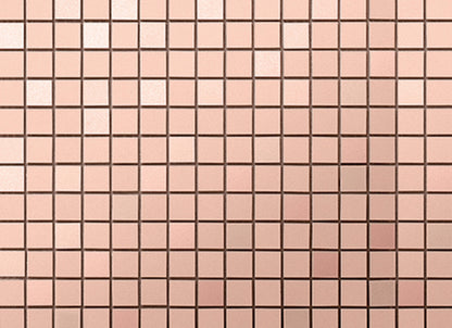 Spectrum in Peach Mosaic 1x1