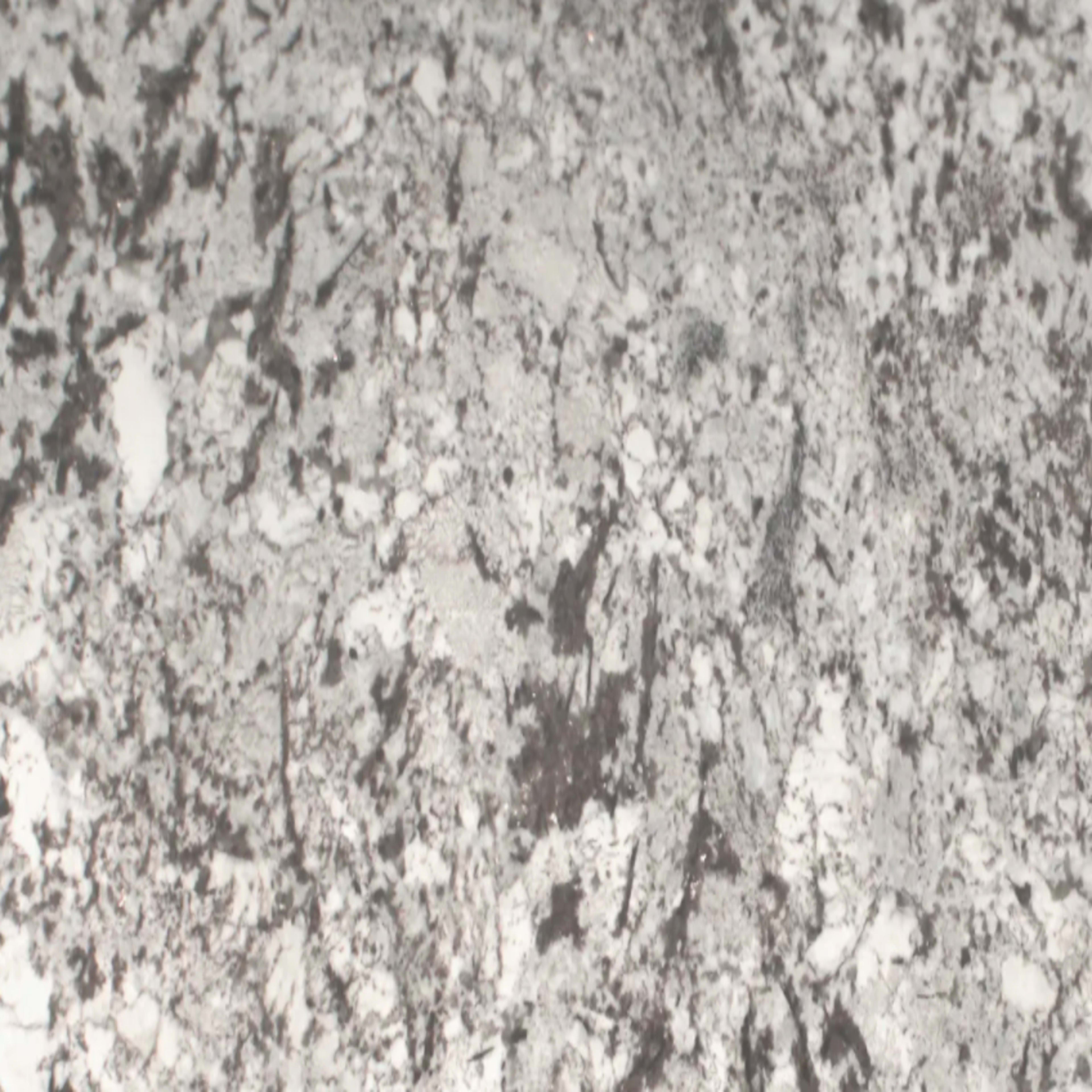 Sensa in White Splendor Natural Stone