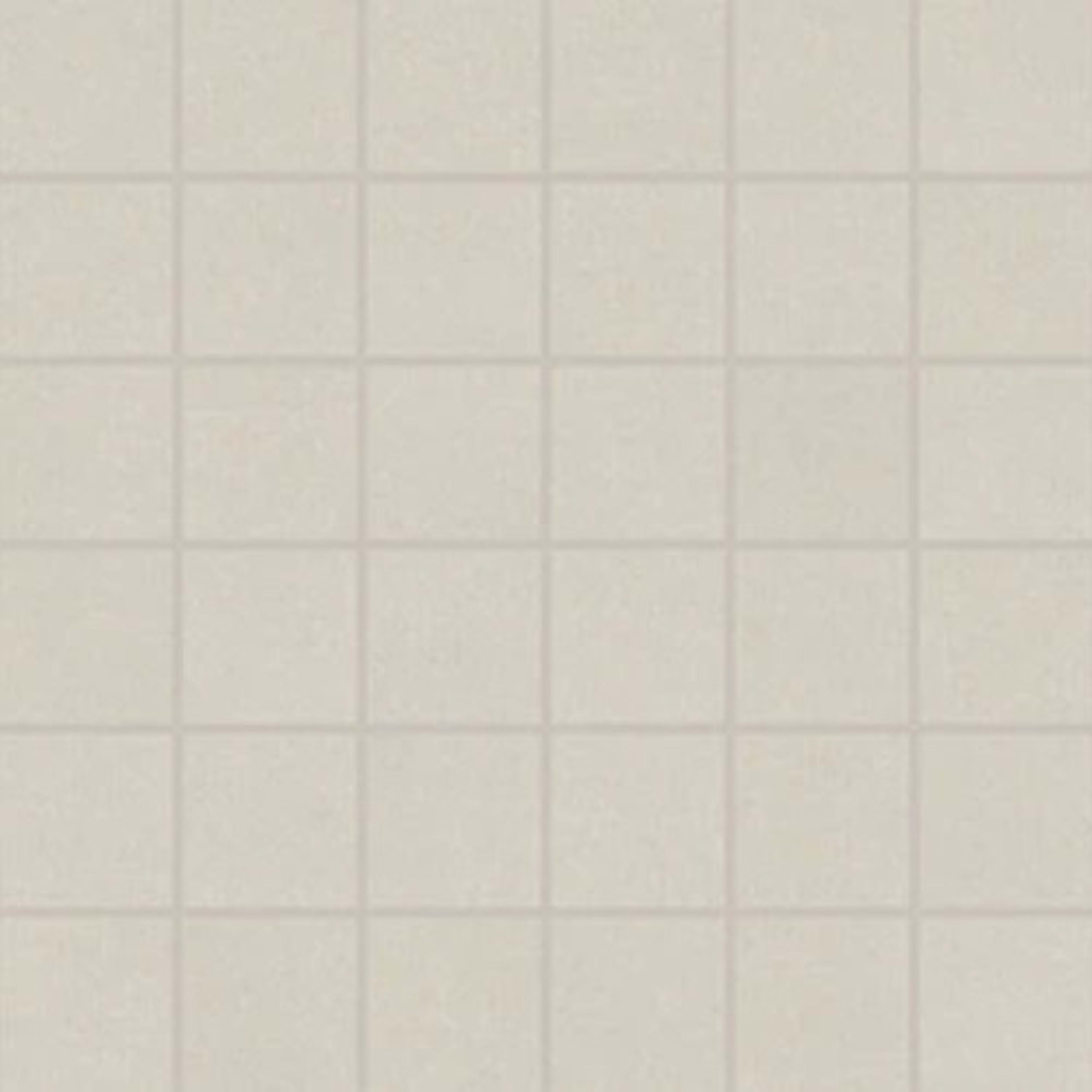 Core Fundamentals - Prime in White 2"x2" Straight Joint Tile