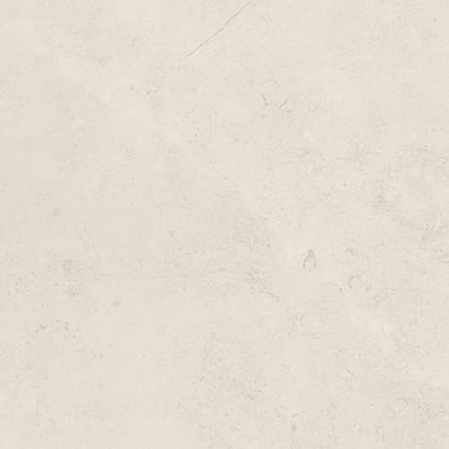 Gallery in White 12"x24" Satin