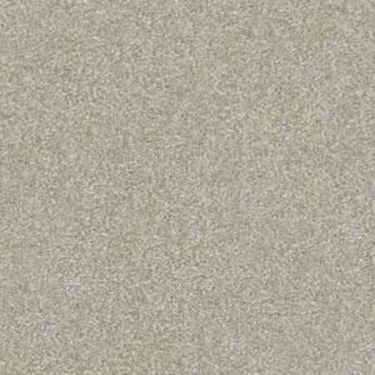 Izzy in Harbor Mist Carpet
