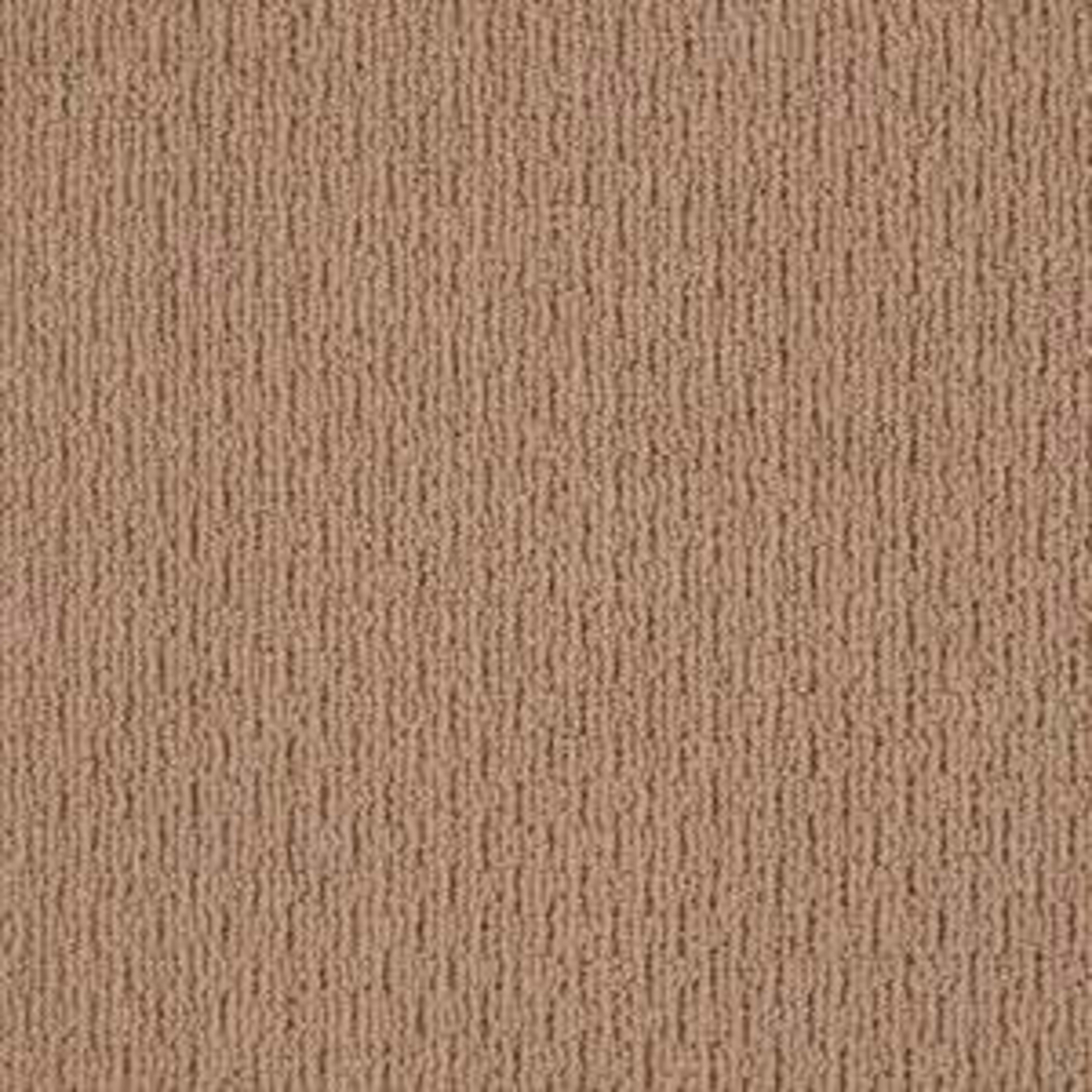Another Place in Buckaroo Carpet
