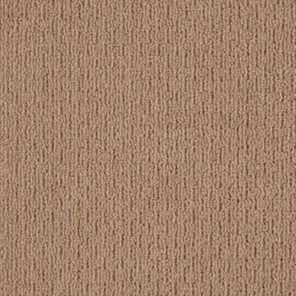 Another Place in Buckaroo Carpet