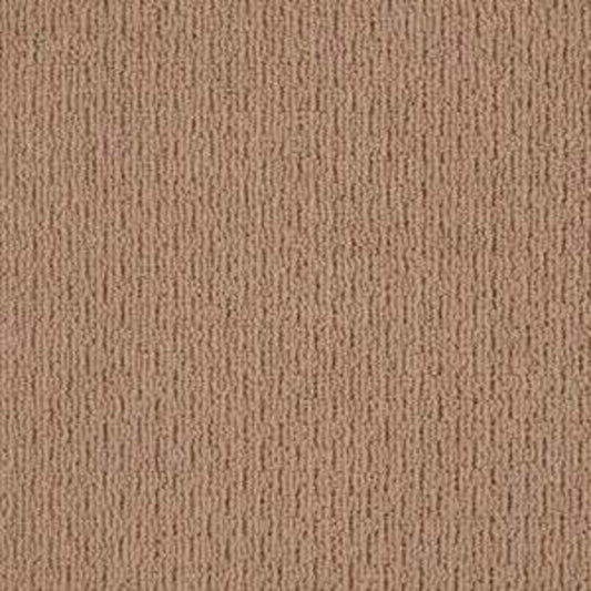 Another Place in Buckaroo Carpet