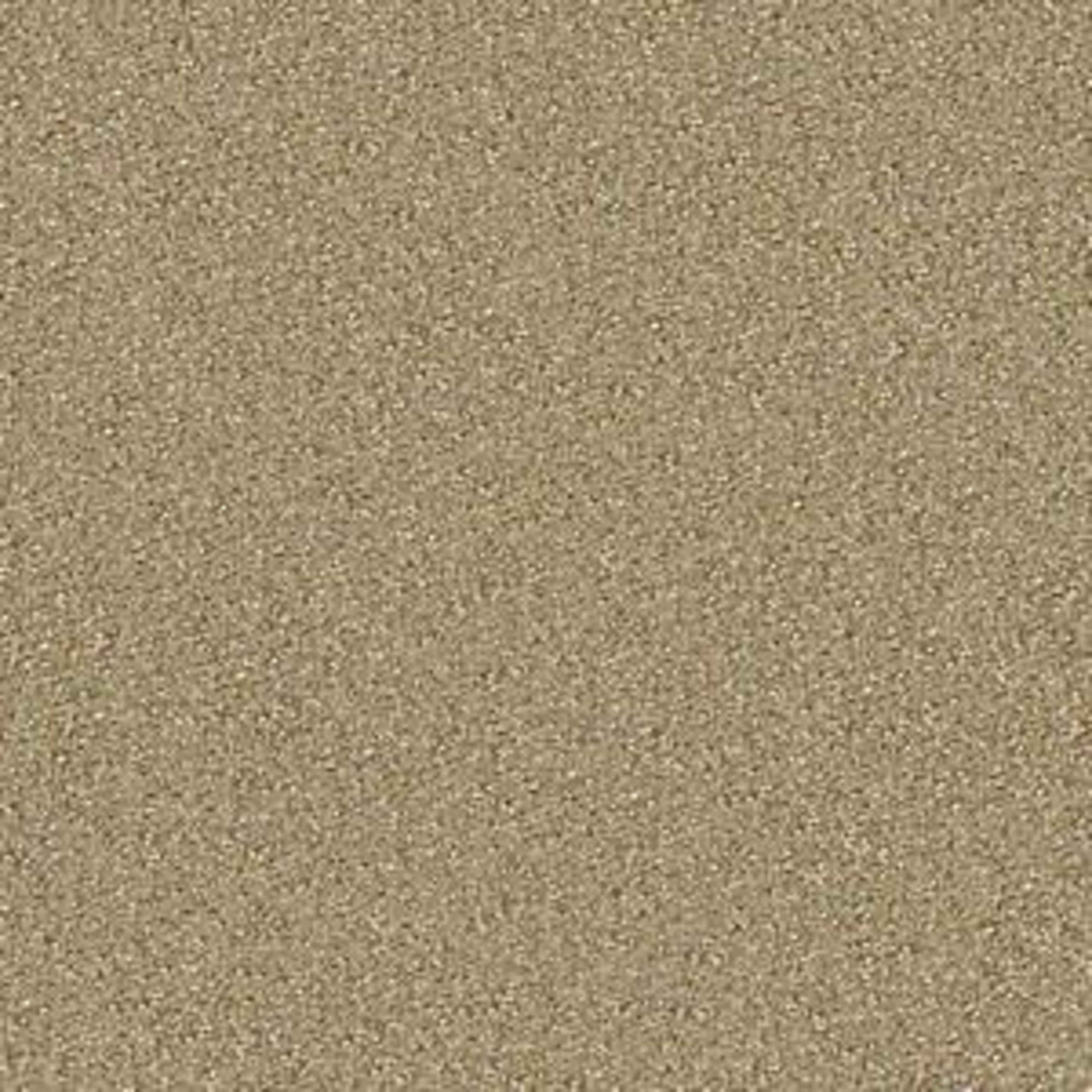 On Point in Gilt Carpet