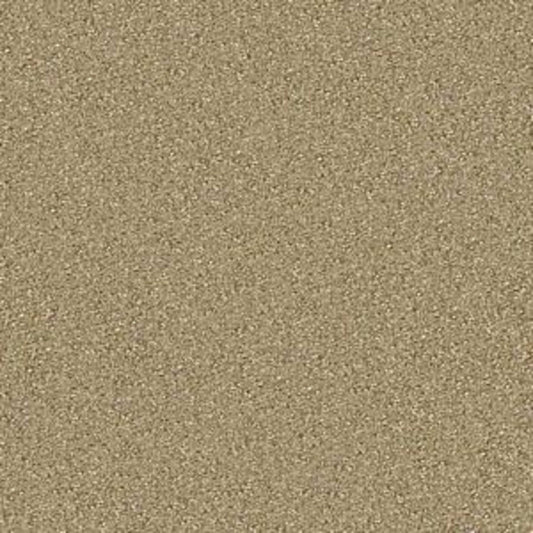 On Point in Gilt Carpet