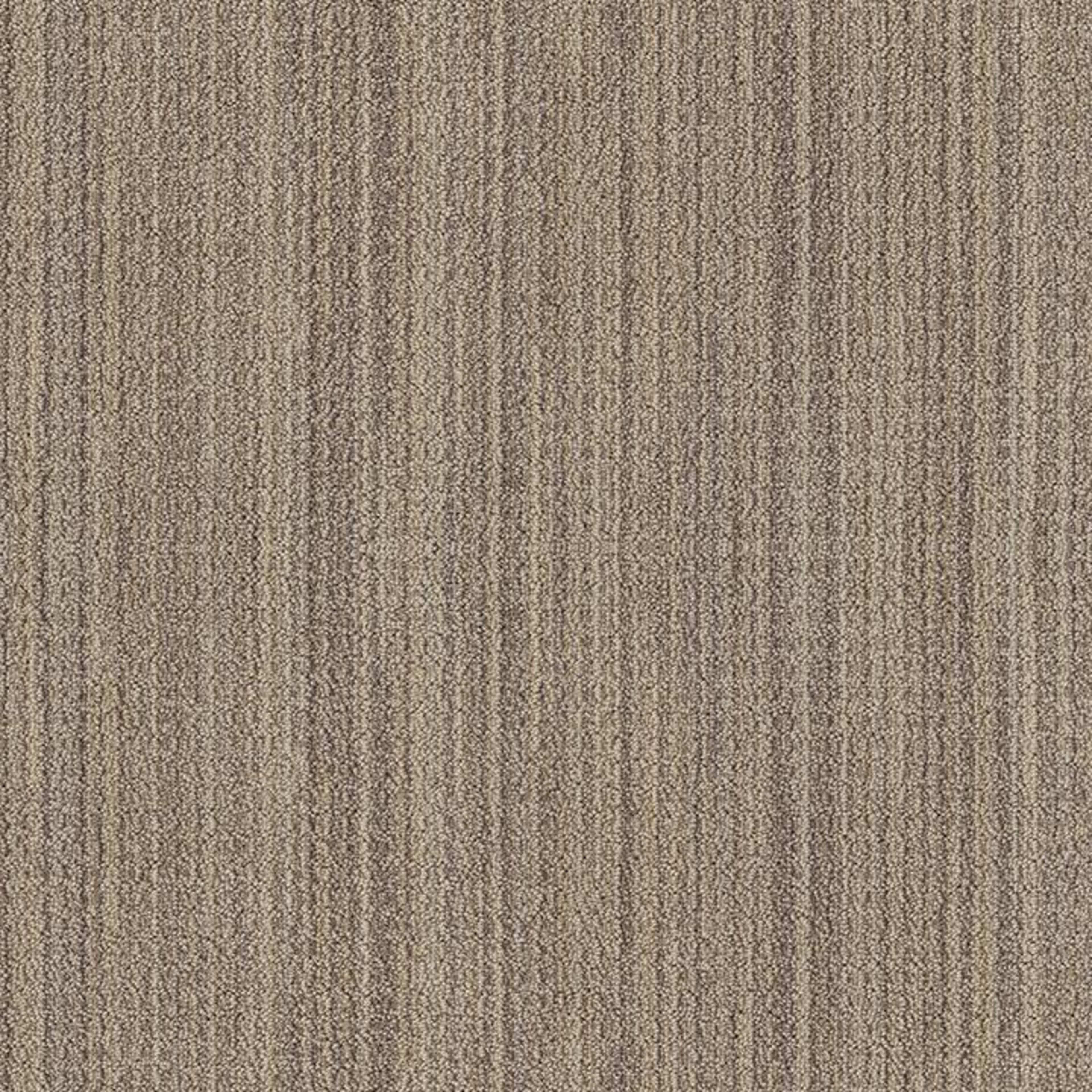 SUNDANCE in Wild Oats Carpet
