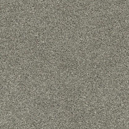 OCEAN VIEW in City Gray Carpet