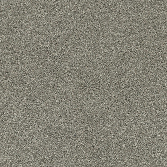 OCEAN VIEW in City Gray Carpet