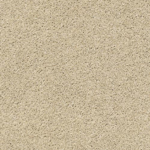 Acadia Park in Softer Tan