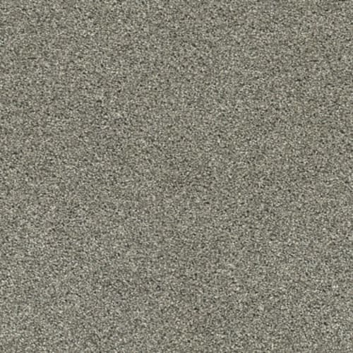 Acadia Park in City Gray