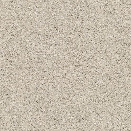 Acadia Park in Smoky Suede