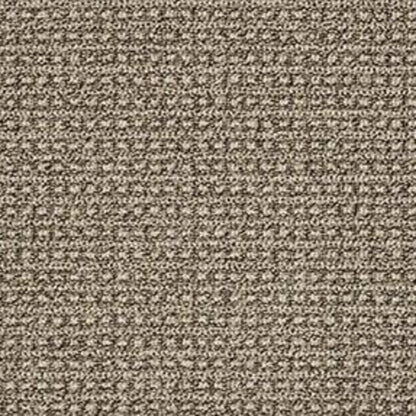 FETCH in Desert Palm Carpet