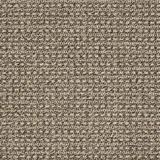 FETCH in Desert Palm Carpet