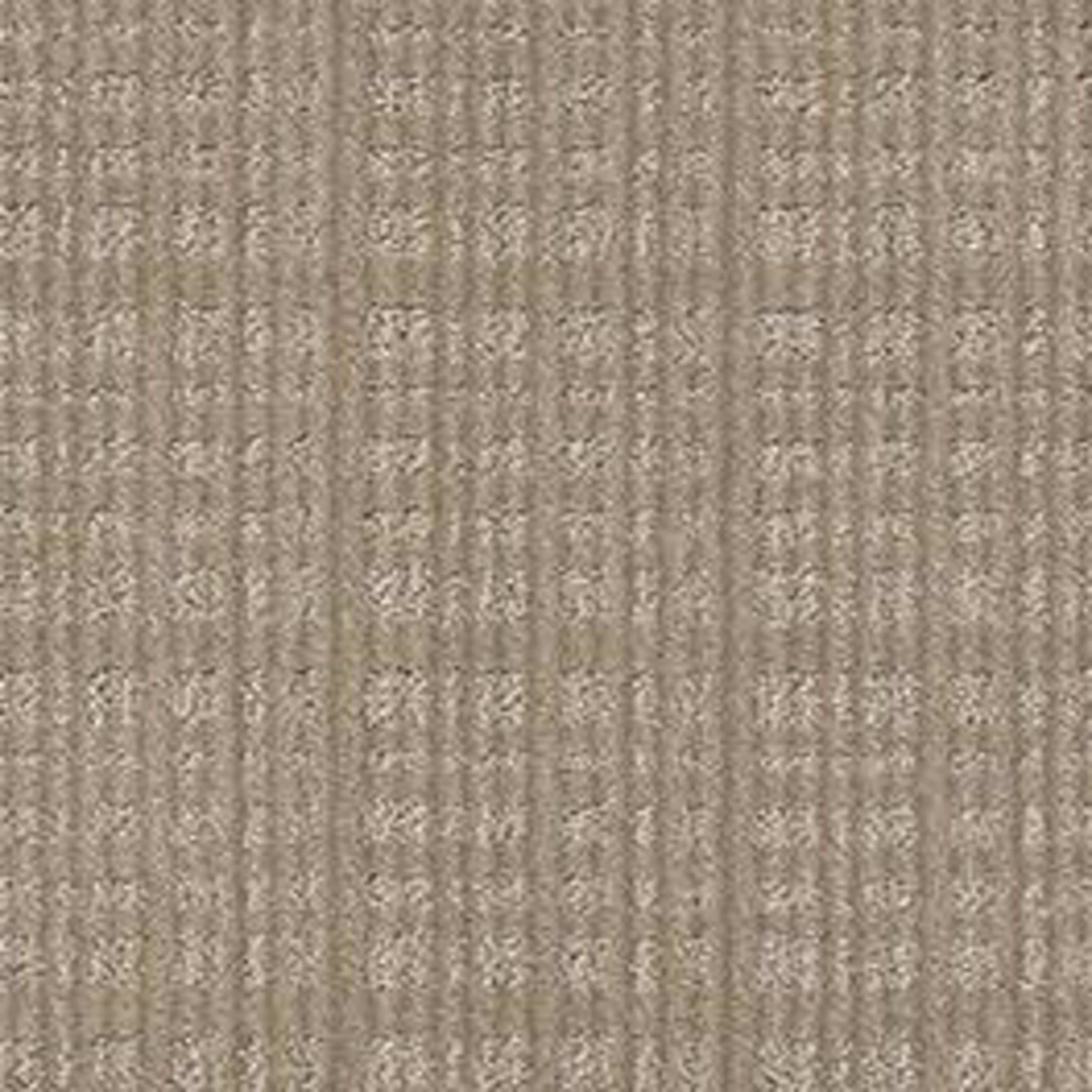 PURRSUASION in Favorite Tan Carpet