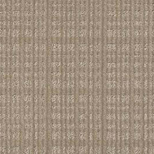 PURRSUASION in Favorite Tan Carpet
