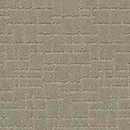 FAUX PAW in Gray Mirage Carpet