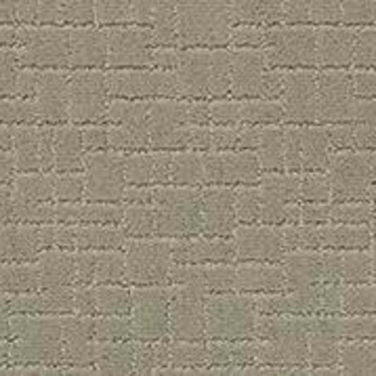 FAUX PAW in Gray Mirage Carpet