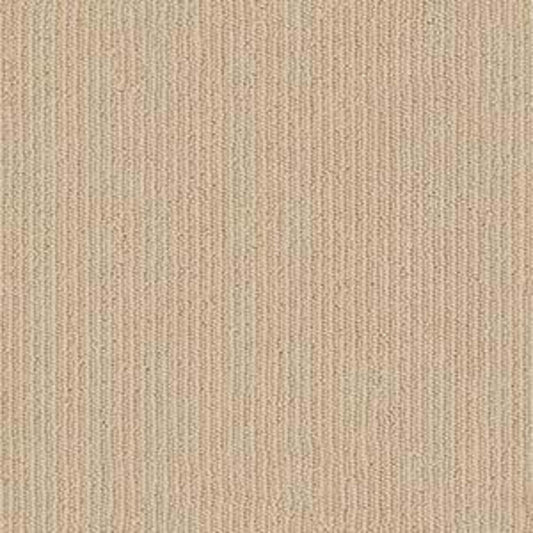 Dynasty in Adobe Carpet