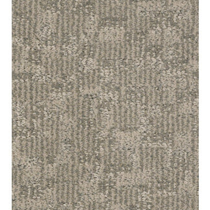 PAW-TAY in Cloud Cover Carpet