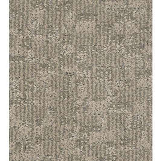 PAW-TAY in Cloud Cover Carpet