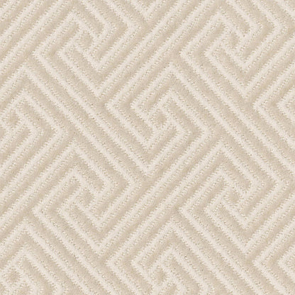 ARTIFACT in Ivory Cream Carpet