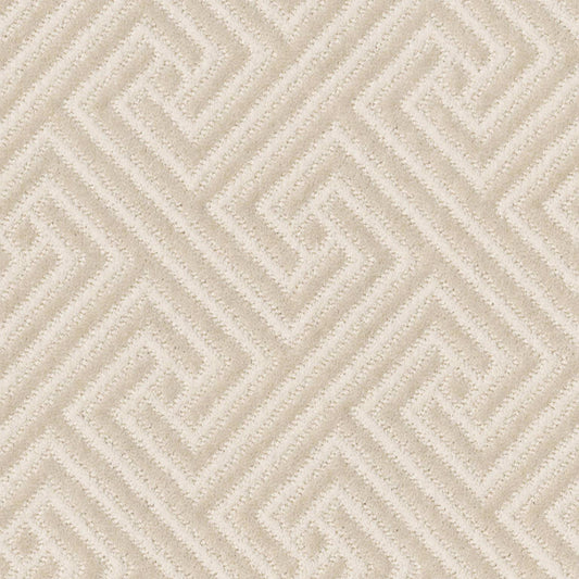 ARTIFACT in Ivory Cream Carpet